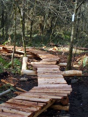 Build a path through a swamp Plank Bridge, Building A Dock, Outdoor Bridges, Trail Life, Building Bridges, Cedar Lumber, Bridge Building, Mountain Bike Trails, Bike Reviews