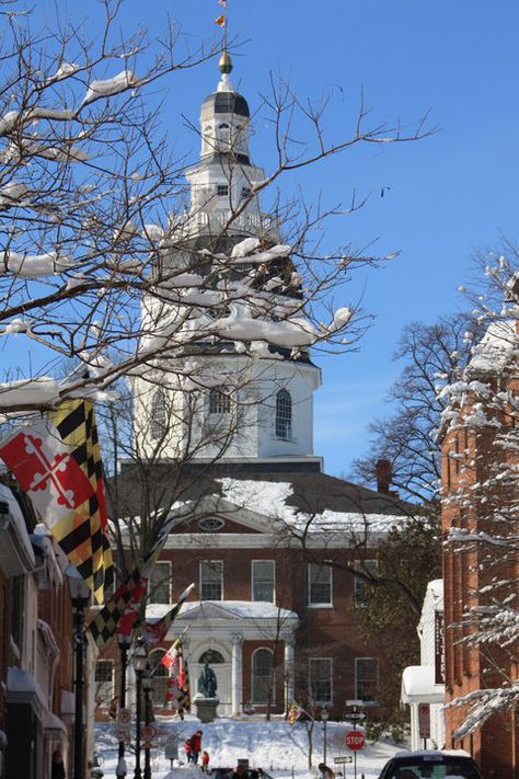 Our beautiful Maryland Flag lining the streets of Annapolis in the snow. No place like home :) http://themarylandstore.com/category/MARYLAND-FLAGS.html Deep Creek Lake, Maryland Flag, Small Town Life, Annapolis Maryland, No Place Like Home, Road Trippin, Eastern Shore, Baltimore Maryland, Architecture Old