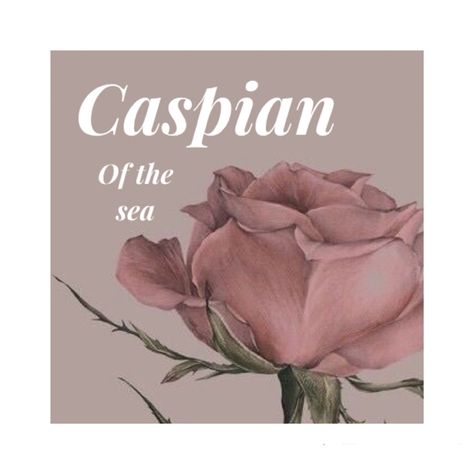 Caspian Name, Caspian Name Meaning, Wattpad Recommendation, Homestuck Oc, Name Aesthetic, Homemade Dog Toys, Names Boy, Alphabet Symbols, Diy Dog Toys