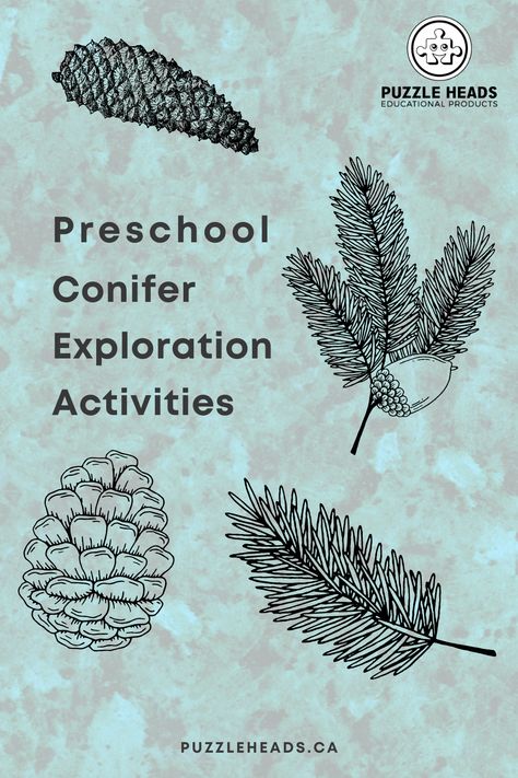 From sensory bottles to books, forest walks and 3 part cards, there are a lot of great ways to explore evergreen trees. Check out the blog! ð² #sensoryplay #montessoriathome #playmatters #natureplay #preschoolfun #earlylearners #conifers #evergreenunit #springbreakactivities Evergreen Tree Activities For Preschool, Pick A Pine Tree Activities, Coniferous Forest Biome Project, Trees Unit Study, Evergreen And Deciduous Trees Activities, Pre Reading Skills, Seed Cycling, Trees For Kids, Forest Walks