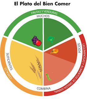 Nutrición para niños saludables: COLORES EN EL PLATO DEL BIEN COMER. Family Activities Preschool, Emotions Preschool, Health Class, Kindergarten Learning Activities, Flashcards For Kids, Kindergarten Learning, Spanish Classroom, Homeschool Mom, Childhood Education