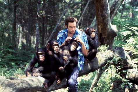 Ace Ventura, Song Of The Sea, Jim Carrey, Still Waiting, Silly Animals, New Star Wars, New Star, Movie Game, Music Tv