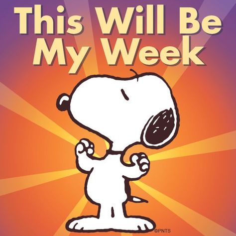 This will be my week. Snoopy flexing his muscles! Charlie Brown And Friends, Woodstock Snoopy, Brown And Friends, Snoopy And Charlie Brown, Lucy Van Pelt, Peanut Gang, Snoopy Funny, Hello Kitty Imagenes, Snoopy Images