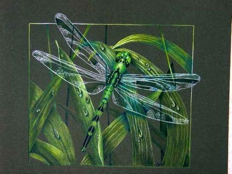 This dragonfly was done on green mat board with colored pencils. I have used Prismacolor colored pencils This measures approx 16x20 This is for the painting only, no frame. This will be packed well for shipping. colors may vary according to your monitor. Coloured Pencil Drawings, Dragonfly Artwork, Pencil Inspiration, Dragonfly Painting, Damselflies, Black Paper Drawing, Green Dragonfly, Colour Pencil, Dragonfly Art