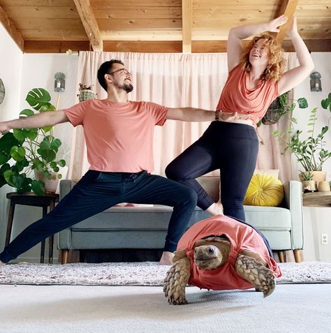 Couple Dress Their Pet Tortoise In Matching Outfits For Photos, Many People Call Them Out For Animal Cruelty | Bored Panda Couple Dresses, Airport Outfit Celebrity, Celebrity Art Portraits, Celebrity Airport Style, Celebrity Artwork, Couple Matching Outfits, Outfit Quotes, Couple Dress, Coordinating Outfits