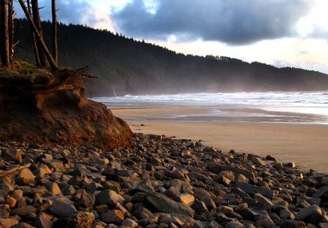 Storm Watching, Oregon Road Trip, Pacific City, Video Star, University Of Oregon, Beach Combing, Local Area, Whale Watching, Oregon Coast