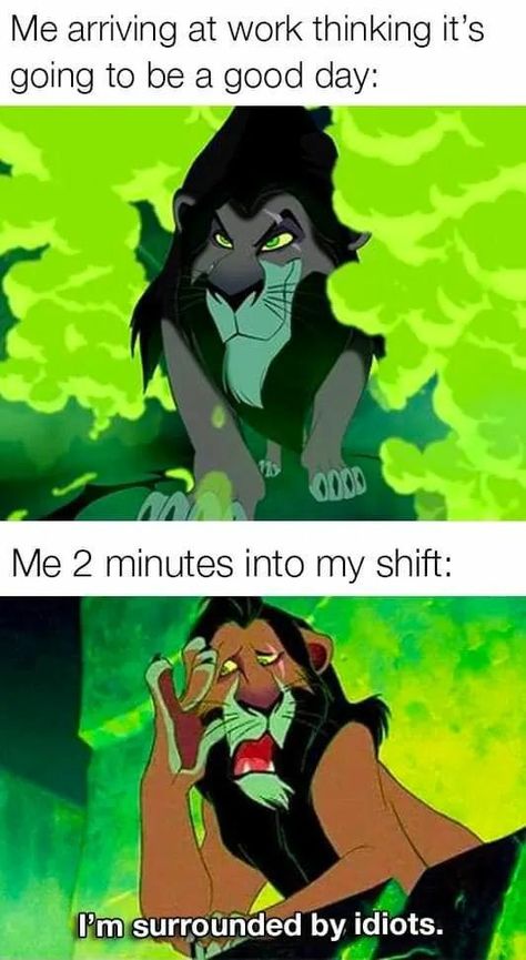 Lion King Meme, Lion King Funny, Funny Lion, Lion King Pictures, Lion King Fan Art, Clean Funny Jokes, Avatar Picture, Funny Disney Jokes, Disney Collage