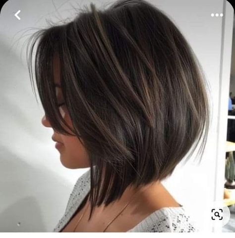 Brunette Asymmetrical Bob, Textured Bob Middle Part, Short Length Hair With Layers Straight, Black Bob With Highlights, Bre Tiesi Style, Shoulder Length Angled Bob, Graduated Bob Haircuts Medium, Tiffani Thiessen Hair, Graduated Lob