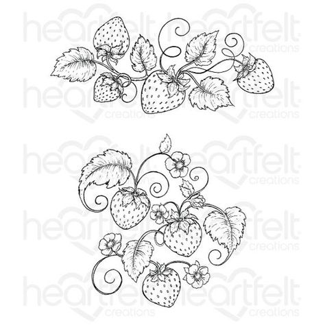 Strawberry Vine, Strawberry Tattoo, Vine Drawing, Vine Tattoos, Desenho Tattoo, Dainty Tattoos, Time Tattoos, Heartfelt Creations, First Tattoo