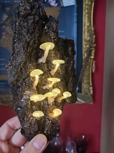 Hot Glue Mushroom Lights : 8 Steps (with Pictures) - Instructables Cottagecore Crafts, Hot Glue Art, Glue Art, Mushroom Crafts, Magic Crafts, Mushroom Lights, Mushroom Fairy, Light Crafts, Mushroom Decor