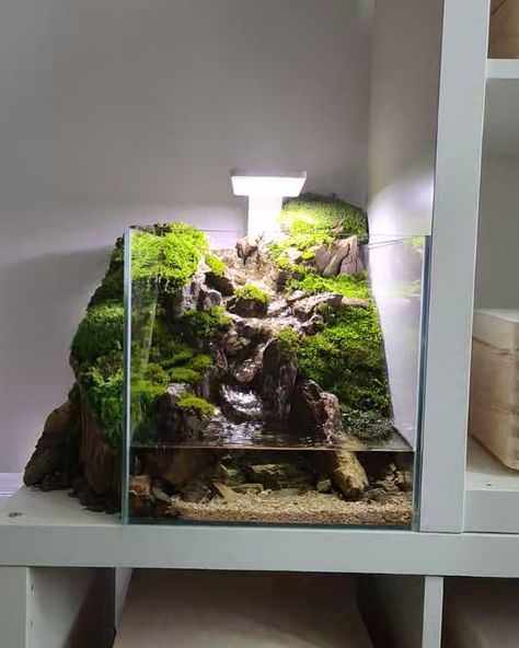 Jungle Style Aquascape, Wood Aquascape, Riparium Aquascape, Amano Aquascape, Nature Waterfall, Iaplc Aquascape, Indoor Water Garden, Aquascape Design, Nano Aquarium