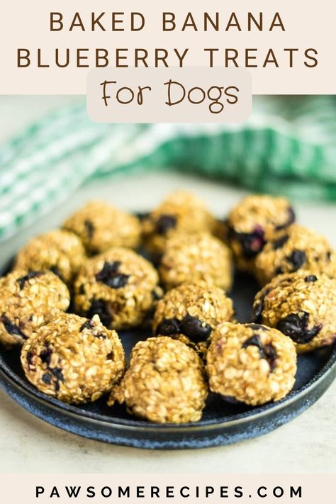 Dog Treats Homemade Blueberries, Blueberry Oatmeal Dog Treats, Blueberry Yogurt Dog Treats, Baked Goods For Dogs, Dog Treats For Diabetics, Blueberry Banana Dog Treats, Blueberry Dog Treats Homemade Easy, Blueberry Treats For Dogs, High Fiber Dog Treats Recipe