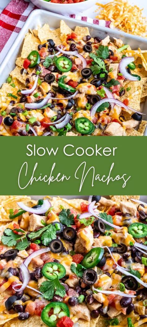 Slow Cooker Chicken Nachos Crockpot Chicken Nachos Recipe, Chicken Nachos Crockpot, Crockpot Chicken Nachos, Chicken Nachos Recipe, Cheap Chicken Recipes, Slow Cooked Chicken, Seasoned Chicken, Boneless Chicken Thigh Recipes, Chicken Nachos