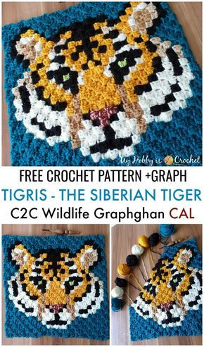 This imposing tiger c2c square design is the 5.th animal square of the Wildlife Graphghan CAL. Get the free crochet pattern with row by row instructions and graph on My Hobby is Crochet blog. ..#crochet #freepattern #c2ccrochet #pixelcrochet #cornertocornercrochet #wildlifegraphghan