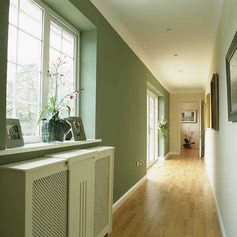 Sage green corridor hallway with laminate floor Green Hallway Paint, Hallway Colour Ideas, Hallway Colour Schemes, Hallway Paint Colors, 25 Beautiful Homes, Light Green Walls, Hallway Paint, Dining Room Paint Colors, Hallway Colours