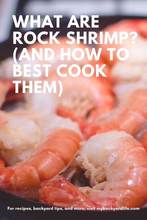 Rock Shrimp are more of a rare shrimp due to being harder to harvest but they are also harder to crack open due to there rock like shell. Check out more details on Rock Shrimp and how to best prepare them whether that is on the BIg Green Egg or not here! #rockshrimp #shrimp101 Best High Protein Foods, Rock Shrimp, Best Cook, Shrimp Fajitas, Grilled Shrimp Recipes, Jumbo Shrimp, Increase Muscle Mass, Large Shrimp, Food Content