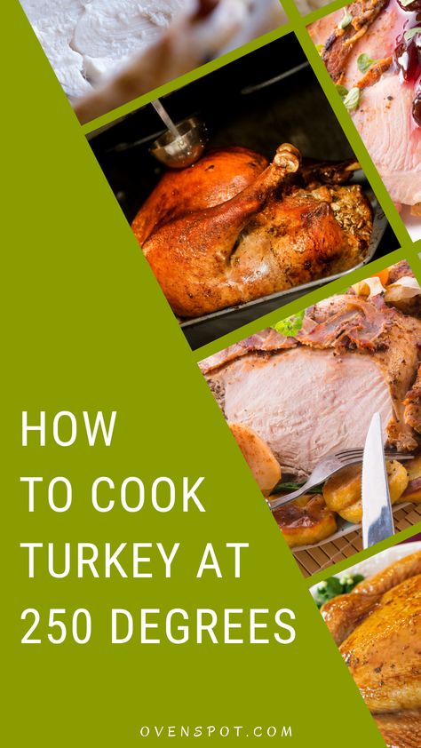 Cook Turkey In Oven, Slow Cook Turkey, Cooking Thanksgiving Turkey, Turkey In The Oven, Turkey In Oven, Turkey Cooking Times, Cook A Turkey, Baked Turkey, The Key To Success