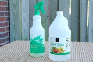 Homemade Fly Repellents for the Yard | eHow Bug Spray For Plants, Tomato Worms, Homemade Bug Spray, Natural Bug Spray, Insect Spray, Fly Repellant, Vinegar Cleaning, Bug Spray, Vinegar And Water