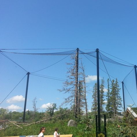 Snowy Owl enclosure at the Assiniboine Park Zoo Owl Enclosure, Zoo Enclosures, Owl Species, Boreal Forest, Big Sky Country, Snowy Owl, Big Sky, Birds Of Prey, The Mountain