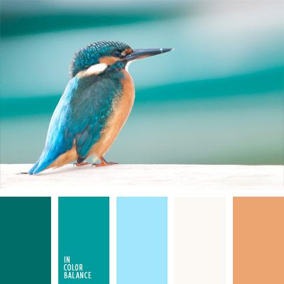 aquamarine | Color Palette Ideas In Color Balance, Peach Color Palettes, Cyan Colour, Color Palette Ideas, Brown Color Palette, Color Schemes Colour Palettes, Palette Ideas, Color Harmony, Color Balance