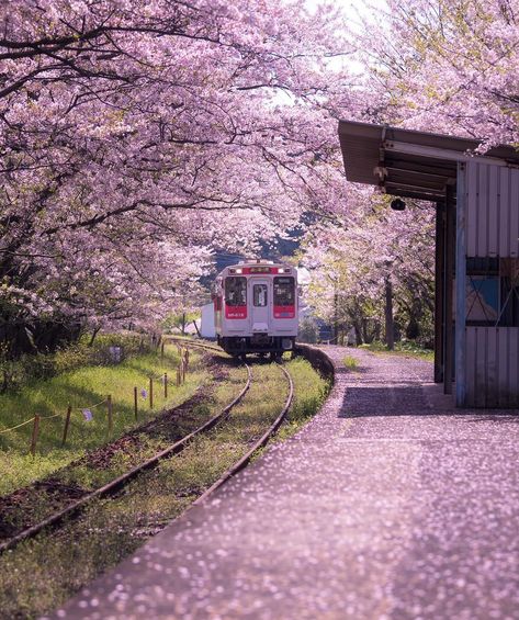 Uranosaki Station, a train station in Japan. Japan Countryside, Japanese Countryside, Japan Train, Monte Fuji, Japan Landscape, Train Art, Train Photography, Japanese Landscape, Japan Aesthetic