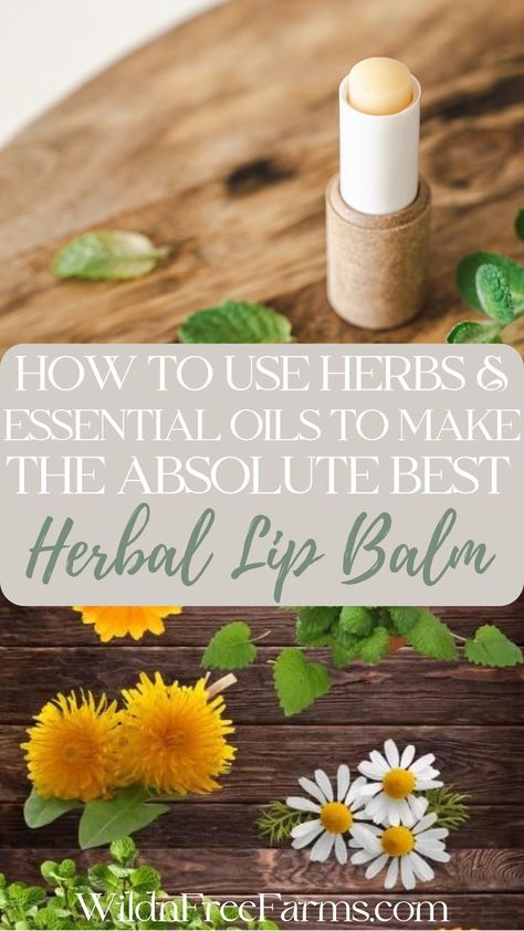 homemade herbal lip balm Chapstick Diy, Beeswax Lip Balm Recipe, Chapstick Recipe, Homemade Lip Balm Recipe, Lip Balm Recipe, Diy Lip Balm Recipes, Balm Recipe, Lip Balm Recipes, Homemade Lip Balm