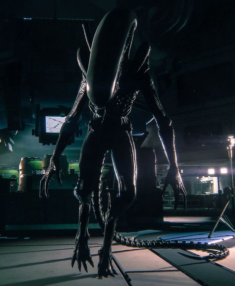 Alien Isolation Xenomorph, Xenomorph Aesthetic, Alien Isolation Game, Xenomorph Art, Alien Ripley, Alien Stuff, Weyland Yutani, Aliens Colonial Marines, Ellen Ripley