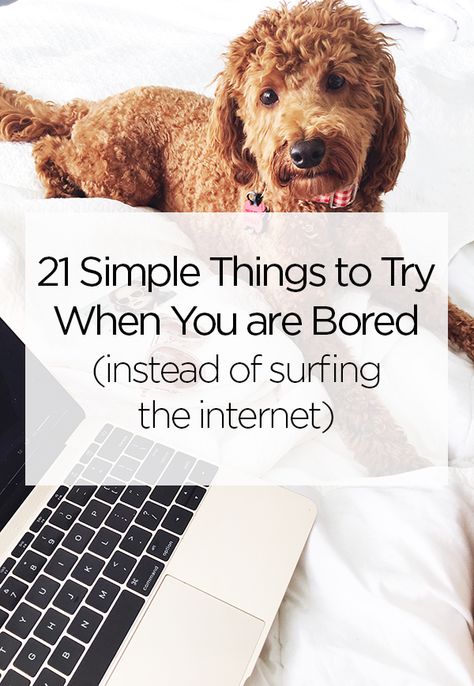 21 Simple Things to Try When You are Bored instead of surfing the internet Where To Go When Bored, When You’re Bored, What Can We Do When We Are Bored, Boring Music For Boring People, Declutter Your Mind, Finding Purpose, Intentional Living, Teaching Inspiration, Live Your Life