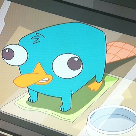 Isn't this the cutest thing ever! (baby perry the platypus!) why can't I have a pet secret agent platypus? Perry The Platypus Pfp, Perry The Platypus Icon, Parry The Platypus, Perry Platypus, Ducky Momo, Best Cartoon Series, Phineas And Ferb Memes, Phineas And Ferb Perry, Ra Themes