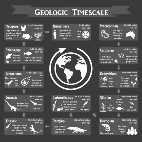 Information about the Geologic Timescale of the Earth Geologic Timescale, Geologic Time Scale, Interactive Infographic, Make An Infographic, Of The Earth, Print Pictures, Geology, The Earth, Anime Art