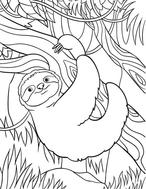 Sloths are one of the most adorable animals in the world, and they make for great coloring pages. Whether you’re a kid or an adult, coloring sloths is a fun and relaxing way to spend some time. In this blog post, we’ve created 10 free sloth coloring sheets for you to enjoy. There are sloths of all shapes and sizes, in all sorts of different settings. So whether you’re looking for a simple sloth to color, or a more complex one, you’re sure to find something you’ll love. Print these free slo... Cute Sloth Coloring Pages, Sloth Coloring Pages, Colors For Toddlers, Printable Cute, Online Coloring Pages, Relaxing Activities, Cute Sloth, Creative Activities For Kids