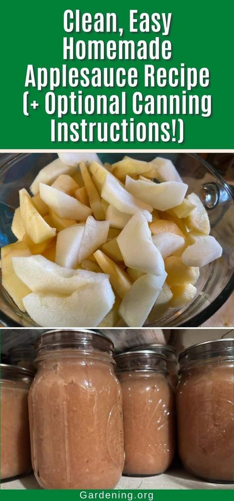 Clean, Easy Homemade Applesauce Recipe (+ Optional Canning Instructions!) Canned Applesauce Recipes, Easy Homemade Applesauce, Applesauce Recipes, Homemade Applesauce Recipe, Canning Instructions, Canning Applesauce, Canned Applesauce, Homemade Applesauce Recipes, Spiced Applesauce