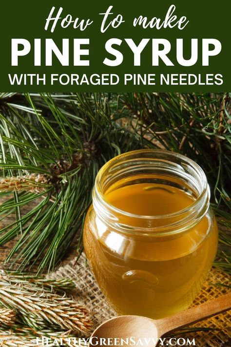 Pine syrup is a delicious cocktail ingredient and home remedy for coughs, and it's super easy to make. Here's what to know about making pine syrup with foraged pine needles and how to forage pine needles safely. | pine syrup recipe | winter foraging | holiday recipes | edible wild plants | homemade cough syrup | wild cocktails | medicinal plants | Pine Syrup Recipes, What To Do With Pine Needles, Pine Needle Syrup Recipe, Pine Recipes, Pine Tincture, Medicinal Syrups, Pine Needle Syrup, Edible Pine Needles, Spruce Tip Syrup