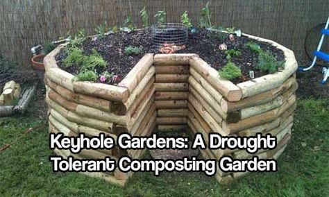 Keyhole Gardens: A Drought Tolerant Composting Garden Keyhole Garden Design, Keyhole Gardening, Keyhole Garden, Small House Garden, Home Grown Vegetables, Survival Gardening, Garden Compost, Aquaponics System, Garden Images