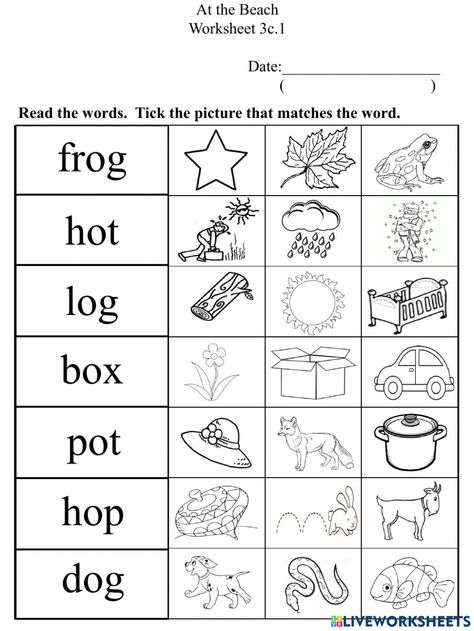 Cvc O Words Worksheet, O Words Worksheet, Short O Worksheets, Short O Words, Cvc Blending, Words Worksheet, O Words, Short O, 2nd Grade Worksheets