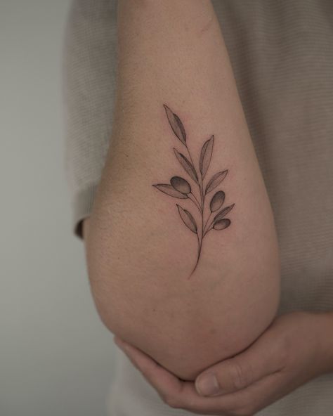 A lovely olive branch🌿🤍 My bookings are open in London 🇬🇧 for July-August-September & Paris 🇫🇷 19,20,21 July Olive Plant Tattoo, Olive Leaf Tattoo, Olive Tattoo, Olive Branch Tattoo, Olive Plant, Branch Tattoo, Plant Tattoo, 21 July, Olive Branch