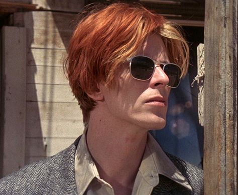 David Bowie Red And Blonde Hair, David Bowie Orange And Blonde Hair, David Bowie Short Hair, David Bowie Orange Hair, David Bowie Haircut, Thomas Jerome Newton, Man Who Fell To Earth, Ziggy Played Guitar, David Bowie Labyrinth