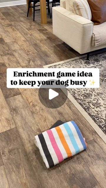 bodhi + kora on Instagram: "Save this enrichment game to try later ✨  Towel game - all you need is: • 2 towels • treats (or kibble)  Enrichment games don’t have to be expensive or difficult to set up! In addition to physical exercise, you should incorporate mental stimulation activities for your dog daily (training, scent work - sniffing & puzzles).  Have you tried this game yet?  Make sure you are always supervising your dog during these activities ‼️  Follow @bodhi.and.kora for more tips! . . . .  #dogenrichment #dogmomlife #dogenrichmentactivities #dogenrichmentideas #puppytips #gamefordogs #dogtips #hyperdog #dog #doghacks #dogparents" Towel Enrichment For Dogs, Enrichment Activities For Puppies, Large Dog Enrichment Ideas, Mental Enrichment For Dogs, Indoor Activities For Dogs, Small Dog Enrichment, Diy Games For Dogs, Mental Stimulation For Dogs Diy, Dog Boredom Busters Diy