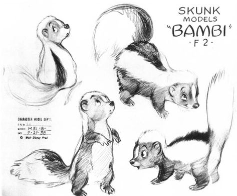 skunk tattoo images | SKUNK PICTURES, PICS, IMAGES AND PHOTOS FOR YOUR TATTOO INSPIRATION Skunk Character Design, Skunk Tattoo, Skunk Drawing, Bambi Flower, Wildlife Drawings, Flower Character, Disney Concept Art, Disney Sketches, Disney Drawings