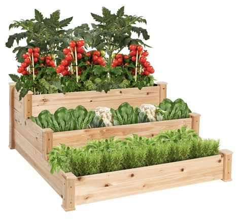 Wood Garden Beds, Wood Raised Garden Bed, Wooden Raised Garden Bed, Vegetable Garden Beds, Cedar Raised Garden Beds, Tiered Garden, Wood Planter Box, Garden Kits, Wood Planters