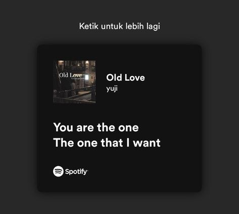 Old Love Spotify Cover, Old Love Spotify, Ava Tele, Say You Wont Let Go, Words To Describe Someone, Baby Park, Spotify Lyrics, Wide Awake, That One Person