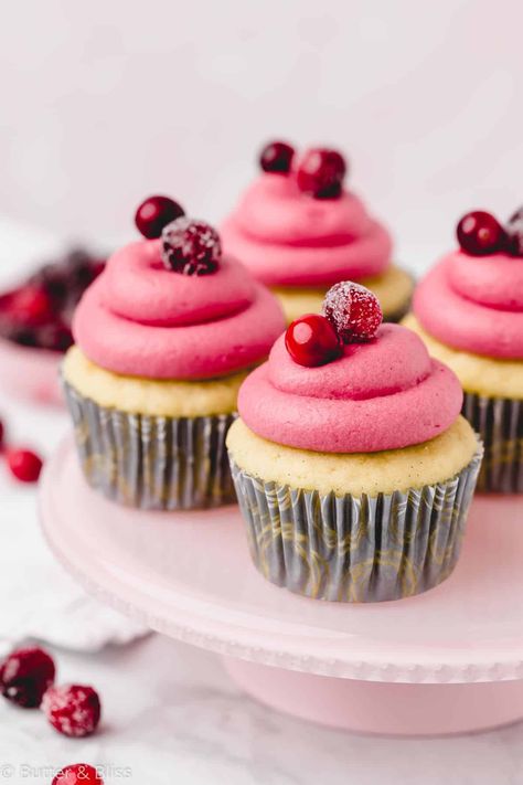 Small Batch Vanilla Cupcakes - Butter and Bliss Small Batch Vanilla Cupcakes, Small Batch Cupcakes, Homemade Cupcake Recipes, Moist Vanilla Cupcakes, Cranberry Cream Cheese, Homemade Chocolate Chips, Vanilla Cupcake Recipe, Cream Cheese Buttercream, Gluten Free Cupcakes