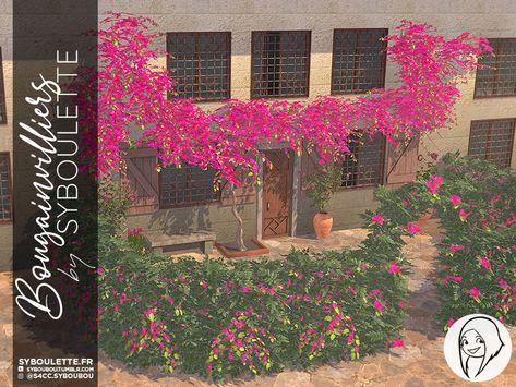 [DOWNLOAD] Bougainvilliers set | Syboulette on Patreon Bougainvillea Tree, Download Sims, Pelo Sims, Sims 4 House Design, Casas The Sims 4, 4 Wallpaper, Sims 4 Cc Furniture, Sims 4 Collections, Outdoor Flowers