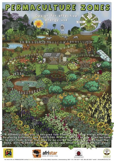 Some great permaculture posters linked to in this post - including zebras in zone 5. How cool... Food Posters, Permaculture Design, Permaculture Gardening, Food Forest, Forest Garden, Food Garden, Community Gardening, Urban Farming, Veggie Garden