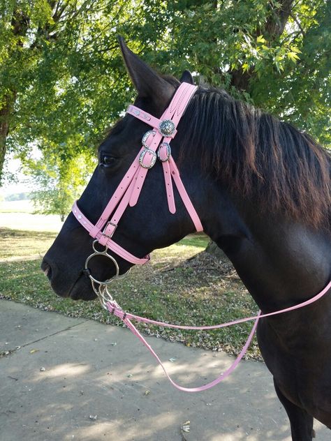 Pink Horse Accessories, Horse Bridals Tack, Pink Horse Tack, Pink Horse Saddle, Rose Gold Horse Tack, Cute Horse Riding Outfits, Pink Horse Tack Western, Black Horse Western Tack, Equestrian Aesthetic