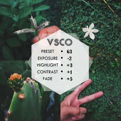 VSCO Filter for Nature Grass and Plants How To Edit Nature Photos, Nature Filter, Vsco Hacks, Vsco Filter Free, Vsco Filter Instagram, Vsco Themes, Vsco Tutorial, Best Vsco Filters, Vsco Cam Filters