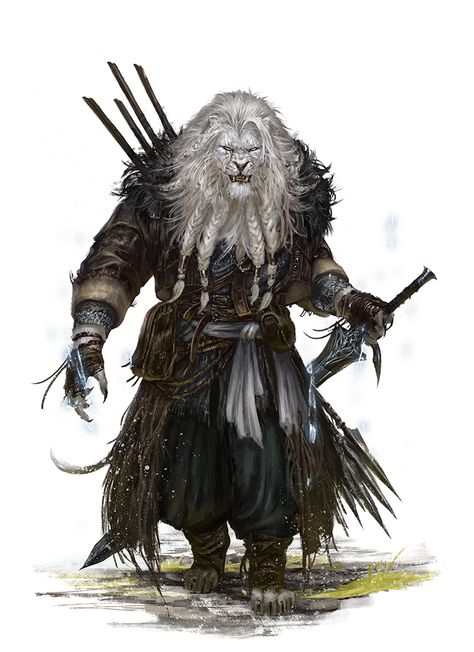 Tabaxi Art, Dnd Pirates, Snow Lion, 다크 판타지, Fantasy Races, Dungeons And Dragons Characters, Dnd Art, High Fantasy, Arte Fantasy