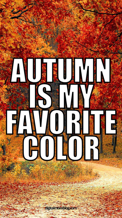 Funny meme about autumn being my favorite color. Poop Meme, Uplifting Memes, Thanksgiving Meme, Funny Autumn, Weather Memes, Positive Memes, Fall Humor, Fall Memes, Fall Candle Scents