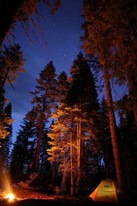 This is a long exposure image of a camp site in Tahoe National Forest. More print sizes available upon request. Fire In The Forest, Aesthetic Camping, Forest Camp, Camping Inspiration, Camping Vibes, Camp Site, Forest Scenery, Camping Photography, Camping Aesthetic