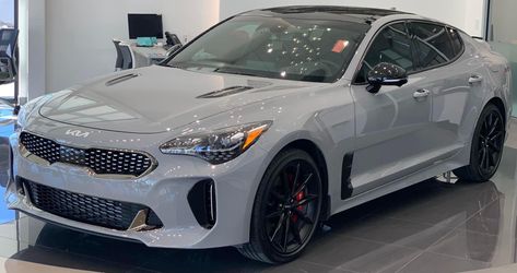 Kia Stinger GT2 Scorpion Special Edition Stinger Kia, Kia Stinger, Future Cars, Pretty Cars, Stinger, Future Car, Car Stuff, Cute Cars, Scorpion